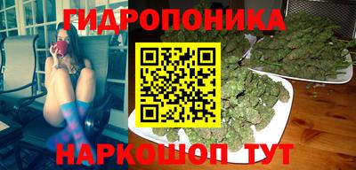 ГАЛЛЮЦИНОГЕННЫЕ ГРИБЫ Мирный