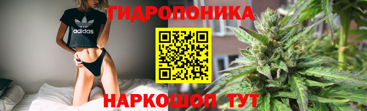 Канабис марихуана Красный Сулин